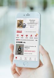 易拍全球