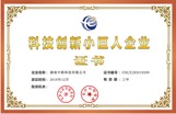 科技创新小巨人企业